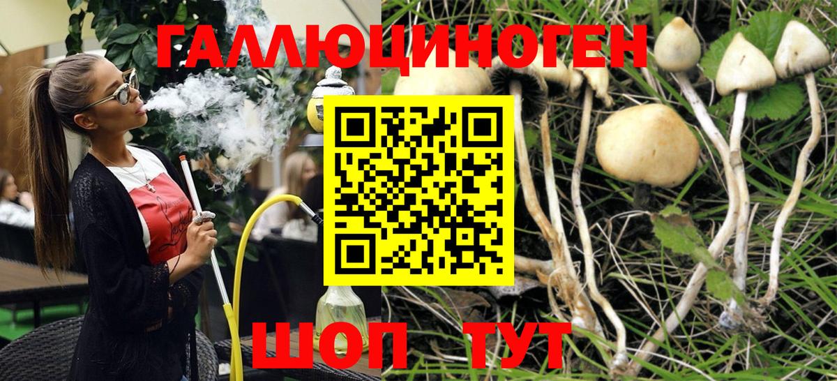 Галлюциногенные грибы GOLDEN TEACHER Жигулёвск