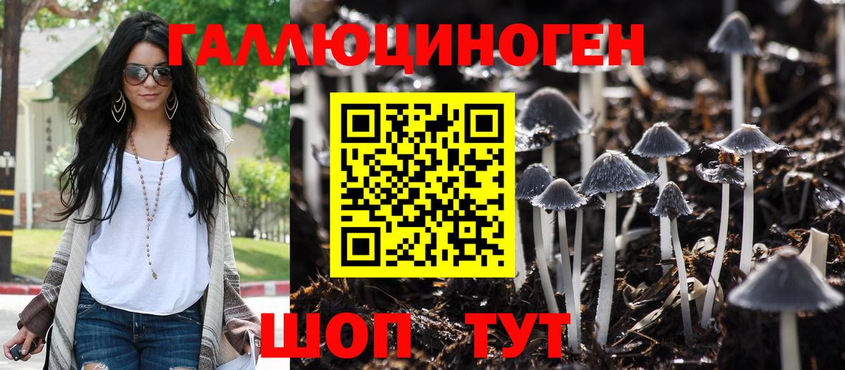 Жигулёвск  Псилоцибиновые грибы Psilocybine cubensis  Вход с VPN 